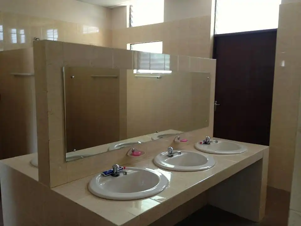 Wash sinks