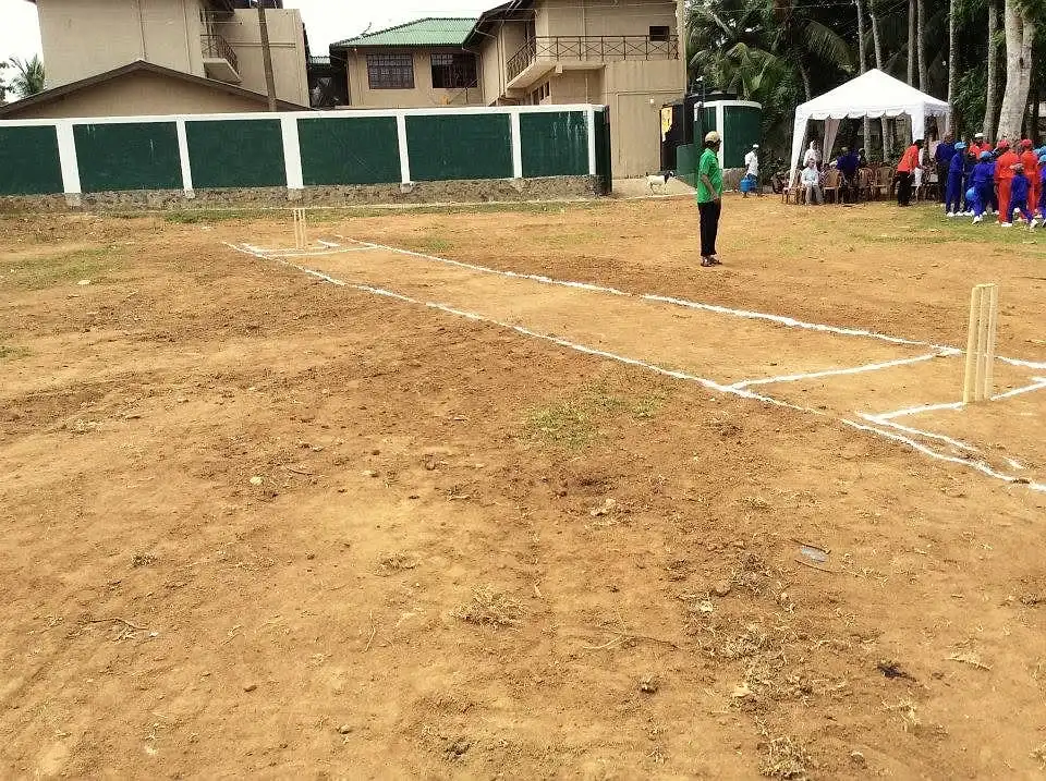 Cricket Pitch