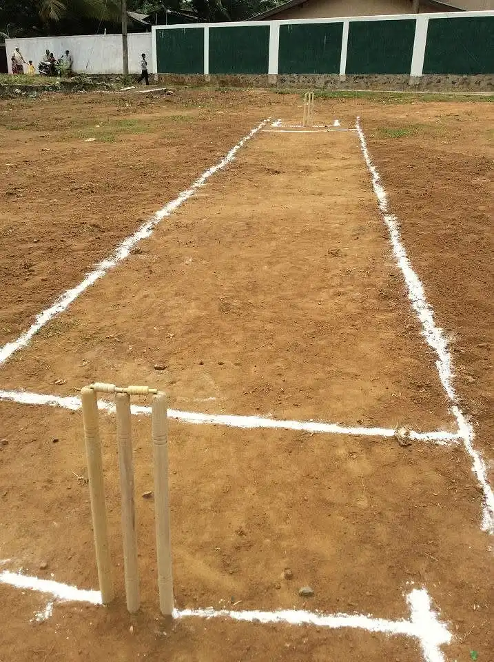 Cricket pitch