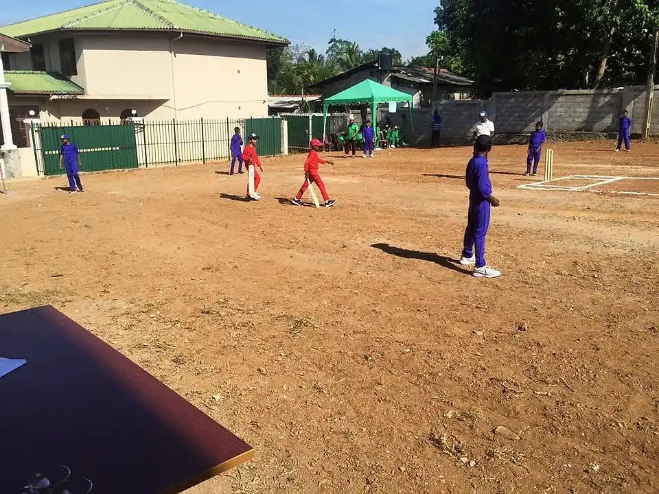 Annual cricket day, photo 35