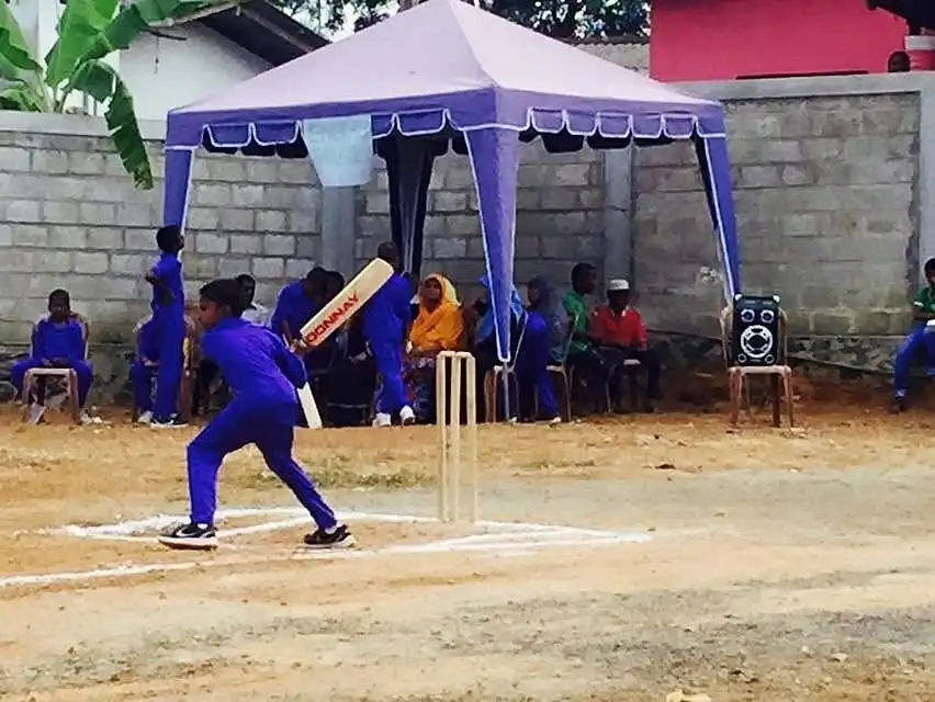 Annual cricket day, photo 27