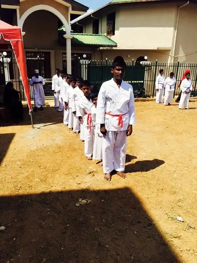 Annual cricket day, photo 42
