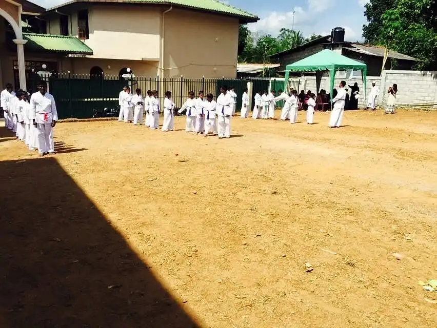 Annual cricket day, photo 41