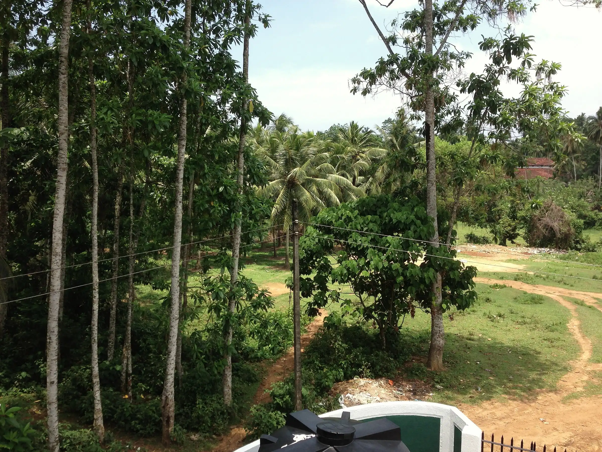 View from the second Floor