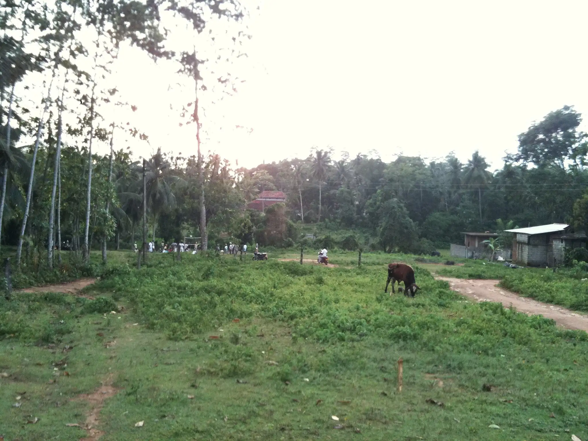 Proposed project site, photo 5