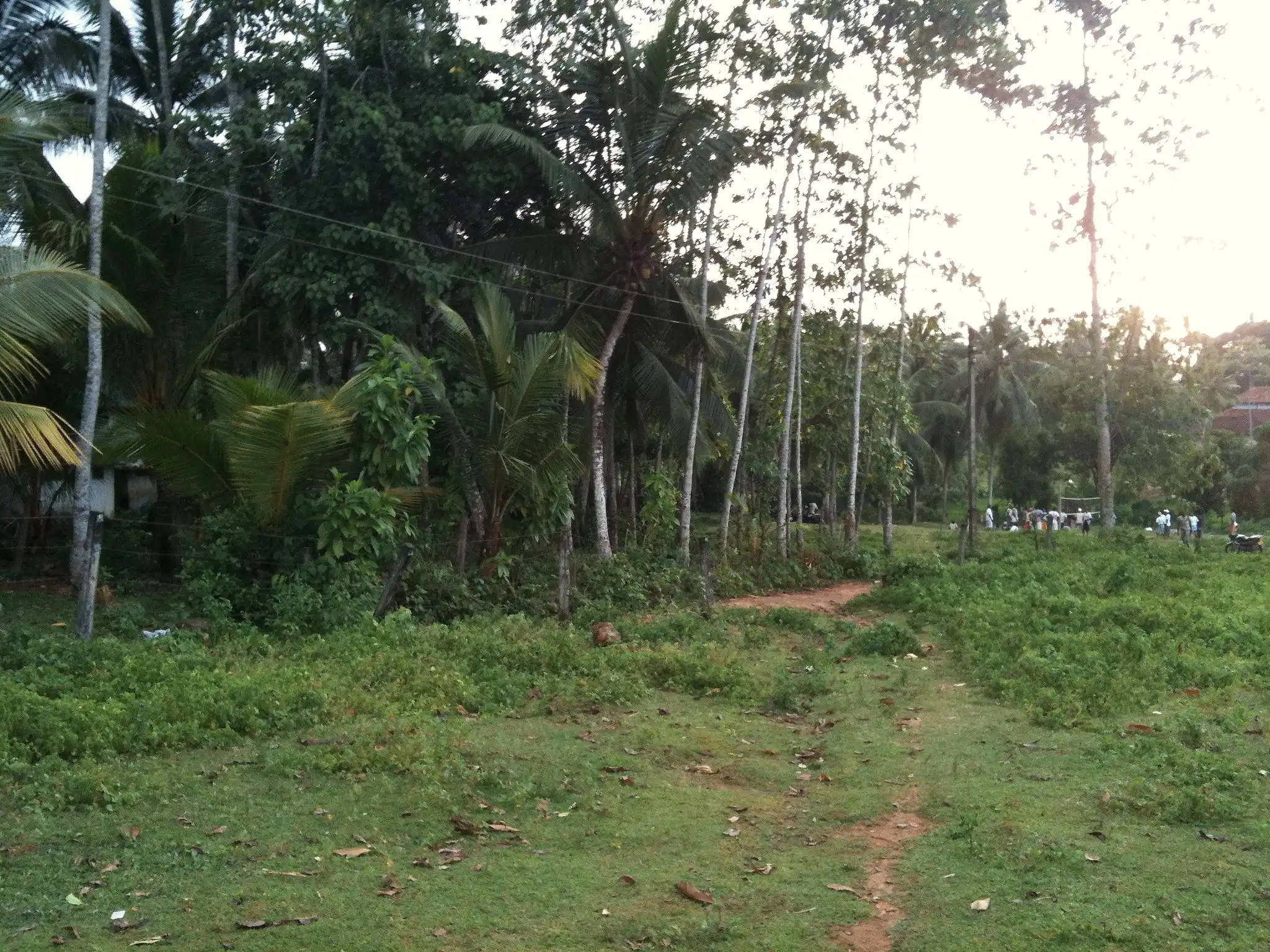 Proposed project site, photo 15