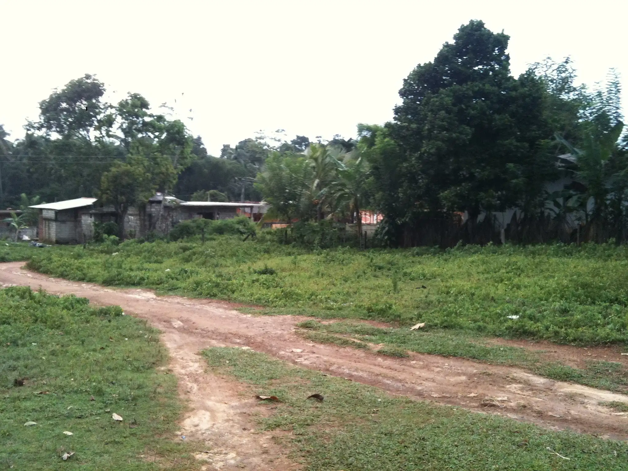 Proposed project site, photo 14