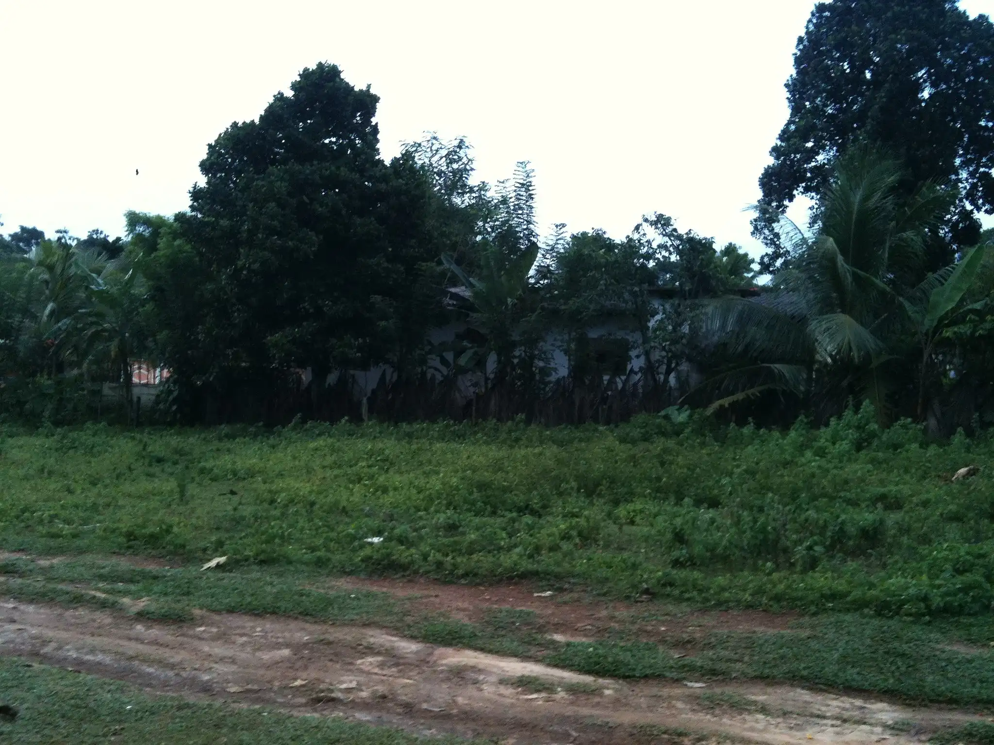 Proposed project site, photo 13