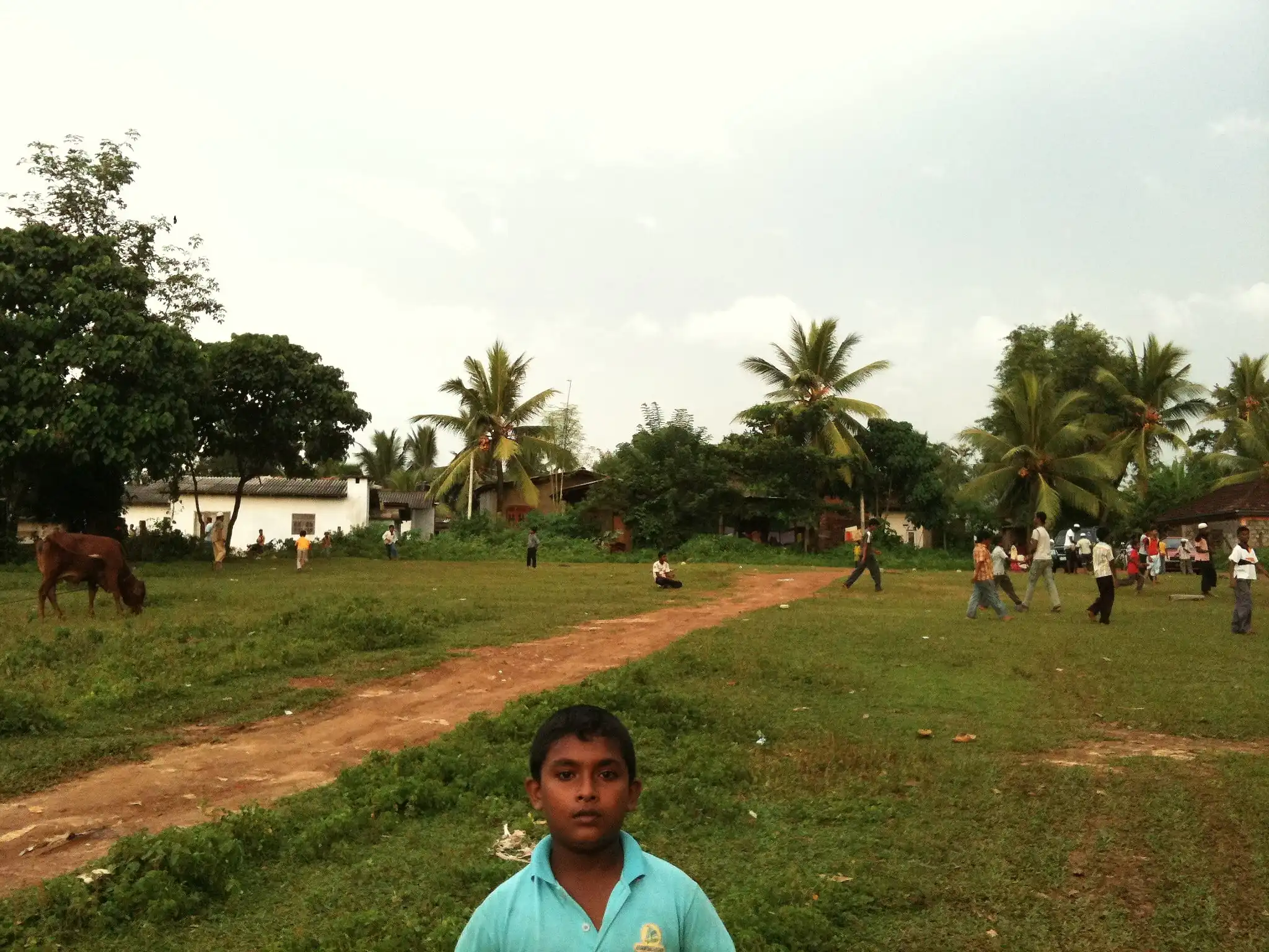 Proposed project site, photo 11