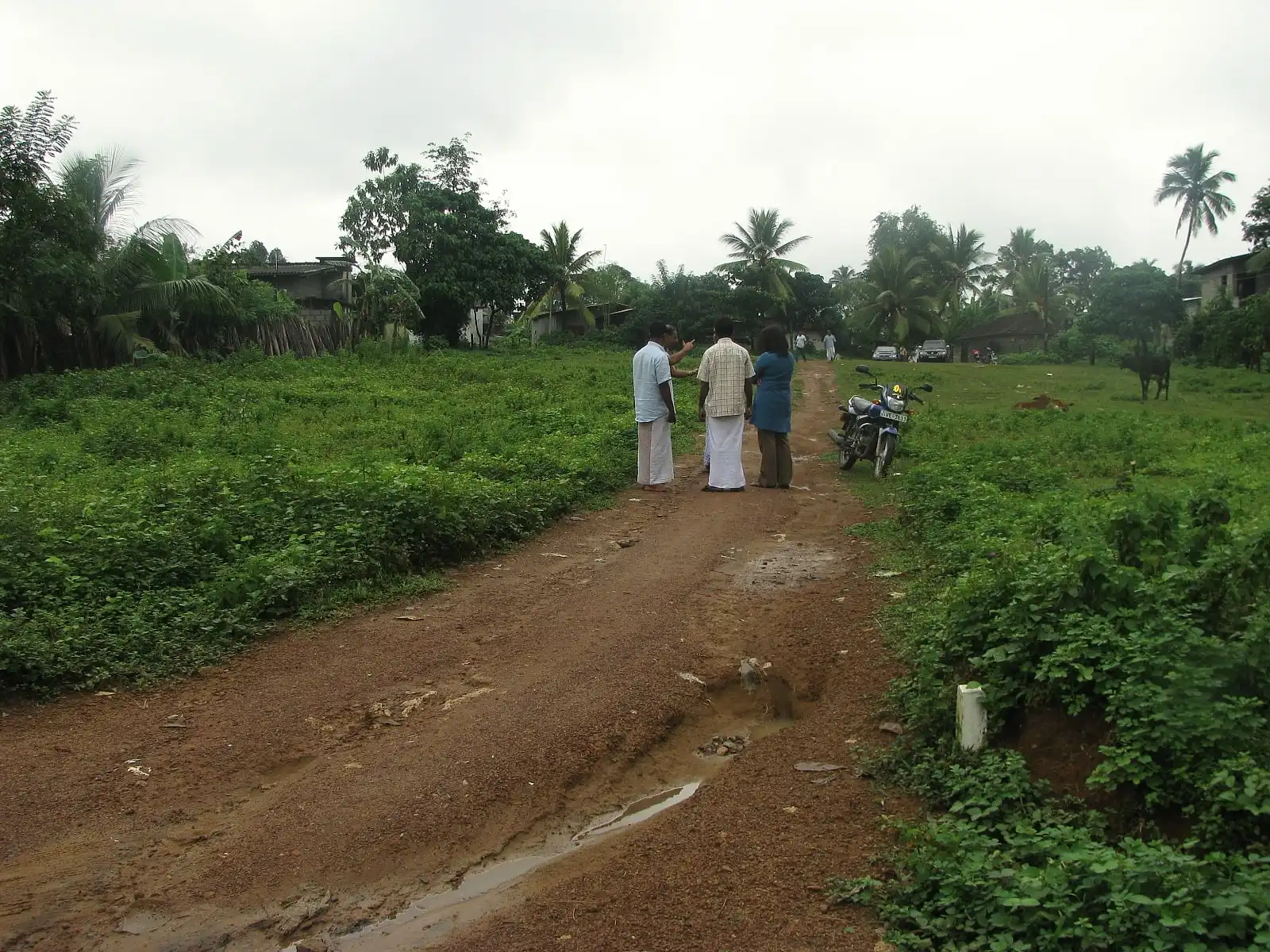Proposed project site, photo 8