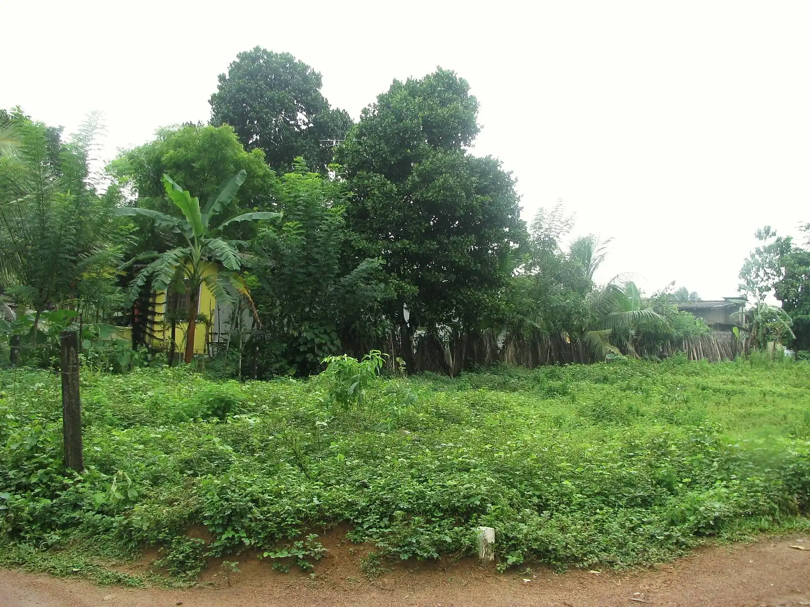 Proposed project site, photo 7