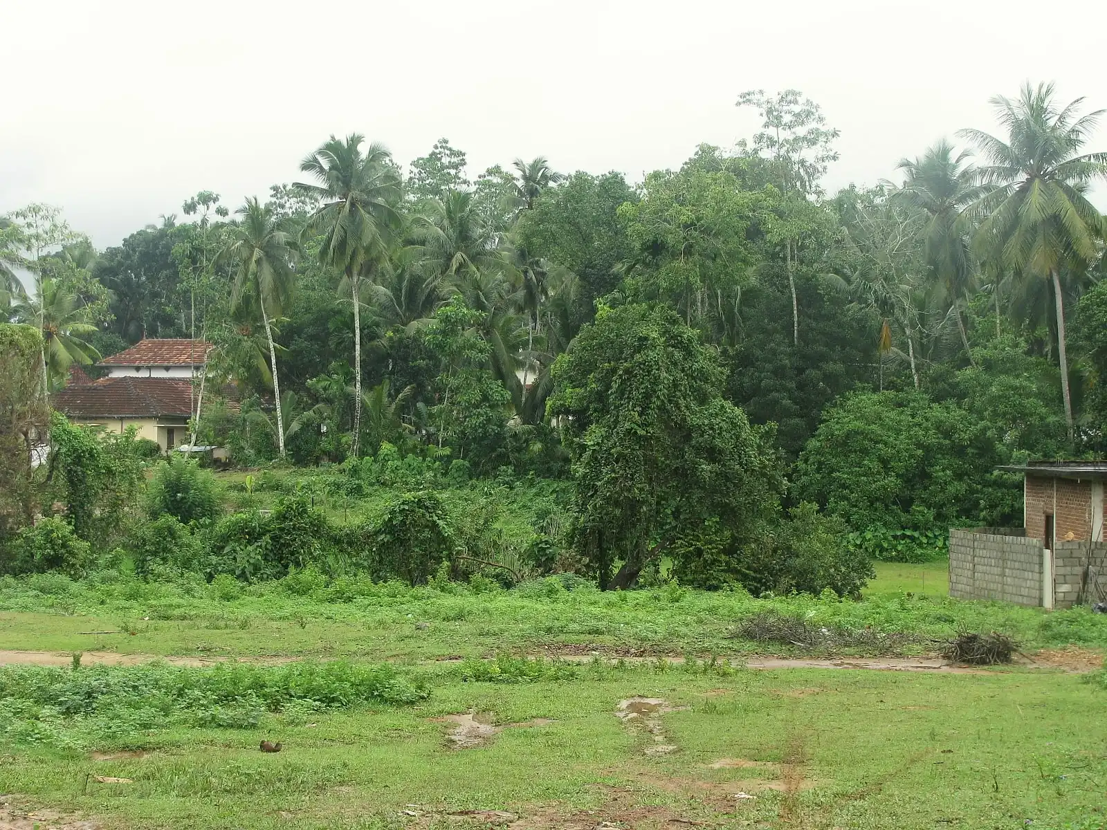 Proposed project site, photo 6