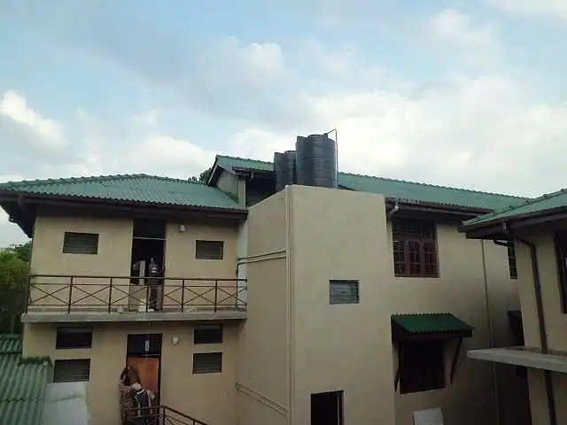 Back view