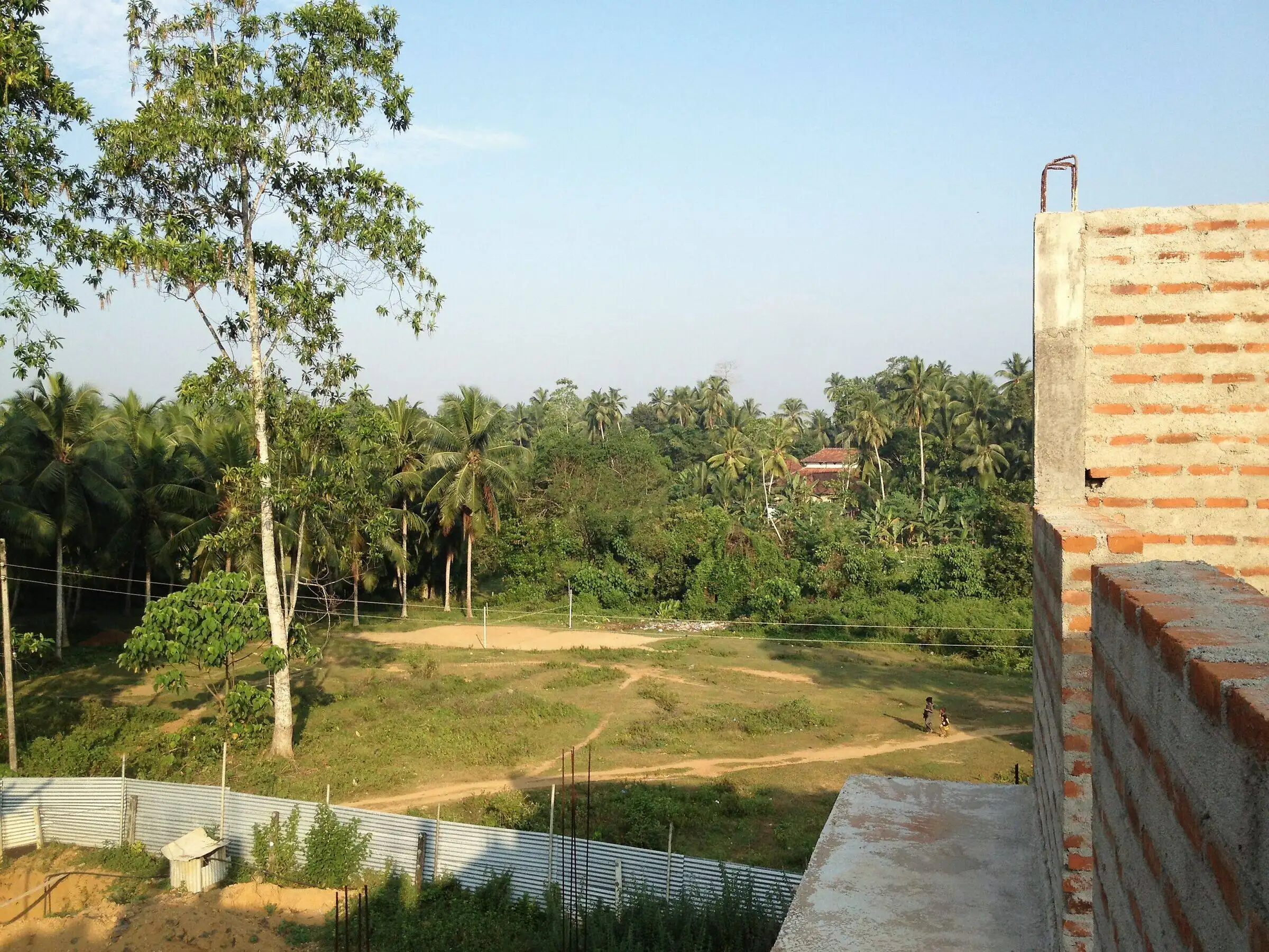 The view across the project site towards the trees